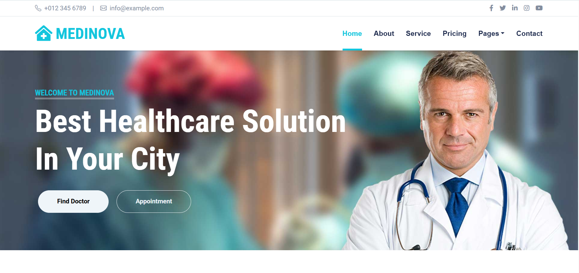 Screenshot of Theme 1